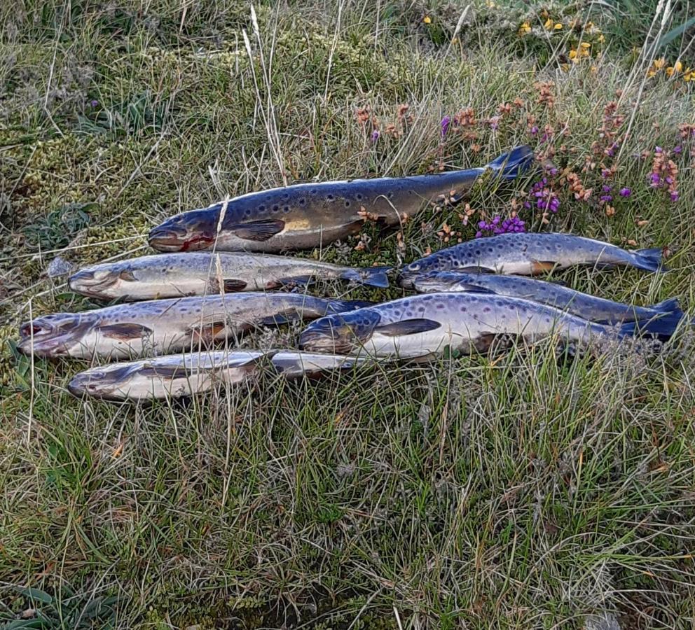Gite "La Meluzine" Au Bord De La Riviere, Avallon, Vezelay, Morvan Magny  Exteriör bild