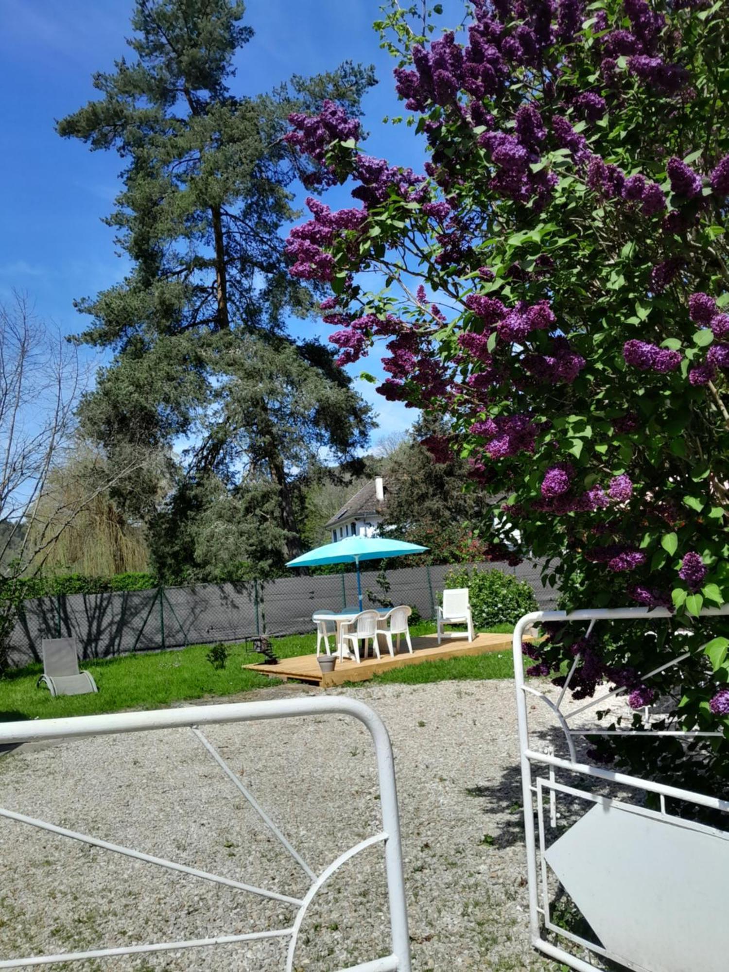 Gite "La Meluzine" Au Bord De La Riviere, Avallon, Vezelay, Morvan Magny  Exteriör bild