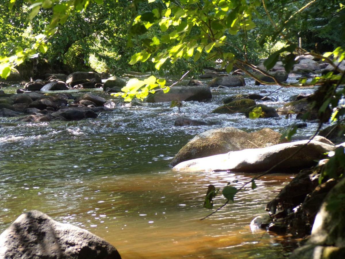 Gite "La Meluzine" Au Bord De La Riviere, Avallon, Vezelay, Morvan Magny  Exteriör bild