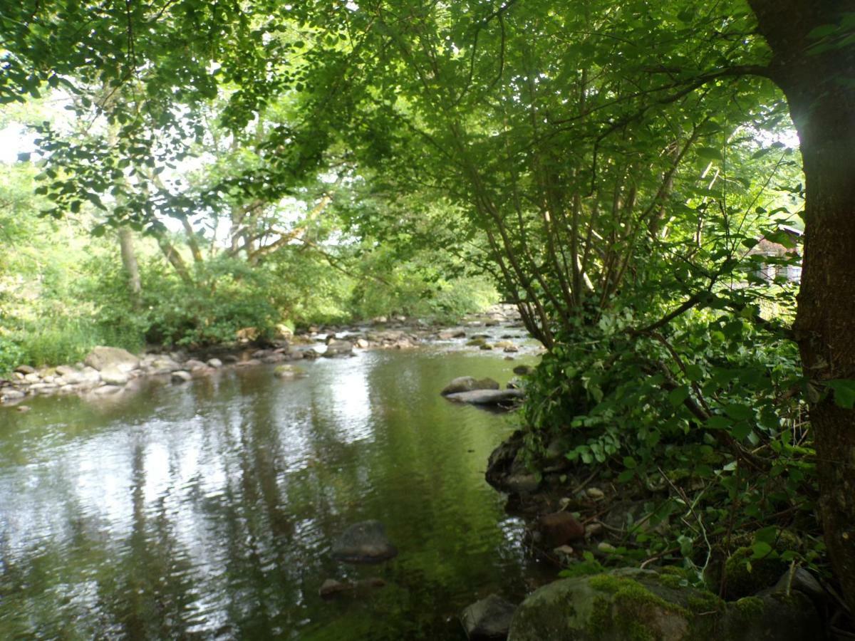 Gite "La Meluzine" Au Bord De La Riviere, Avallon, Vezelay, Morvan Magny  Exteriör bild