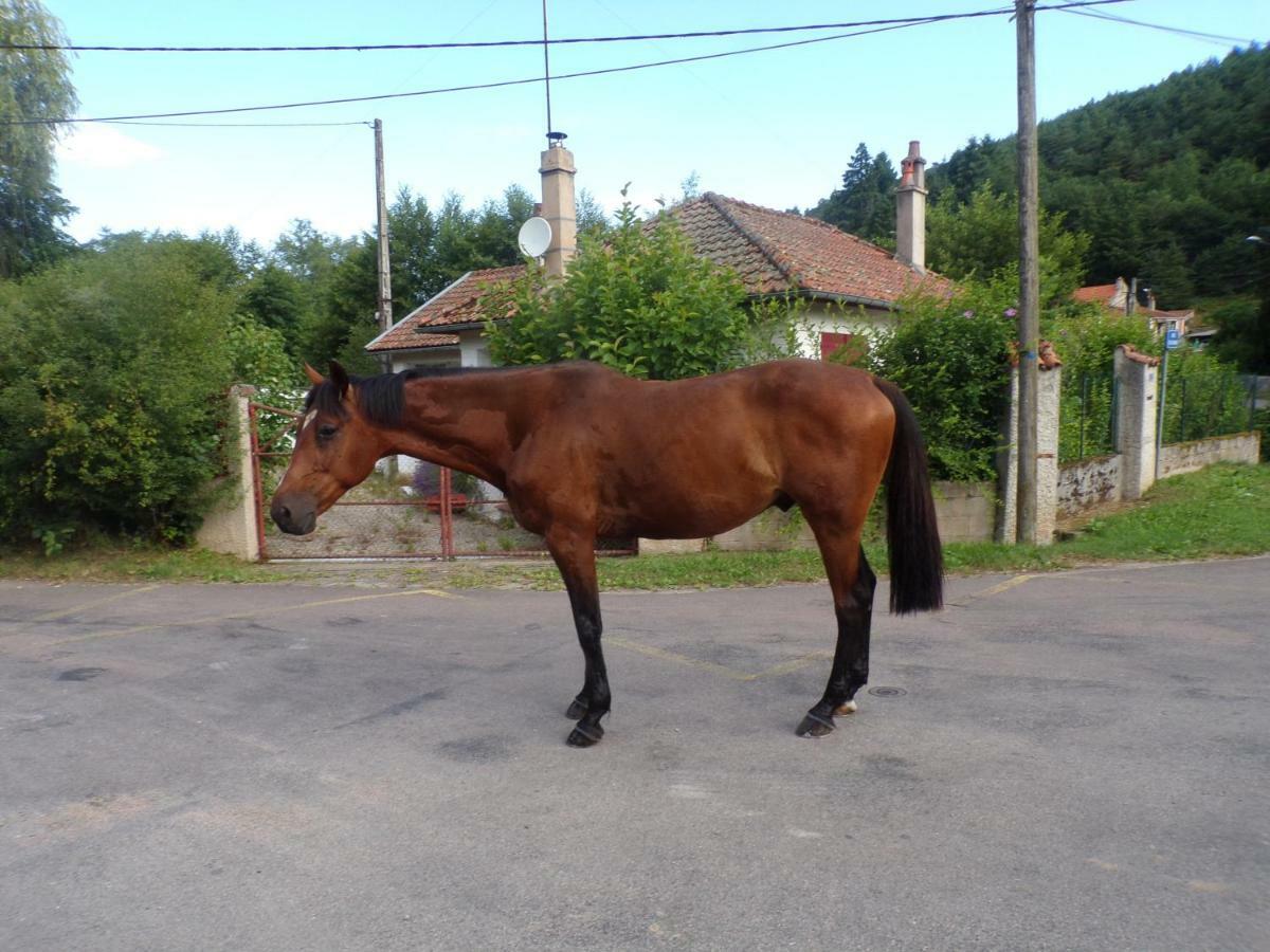Gite "La Meluzine" Au Bord De La Riviere, Avallon, Vezelay, Morvan Magny  Exteriör bild