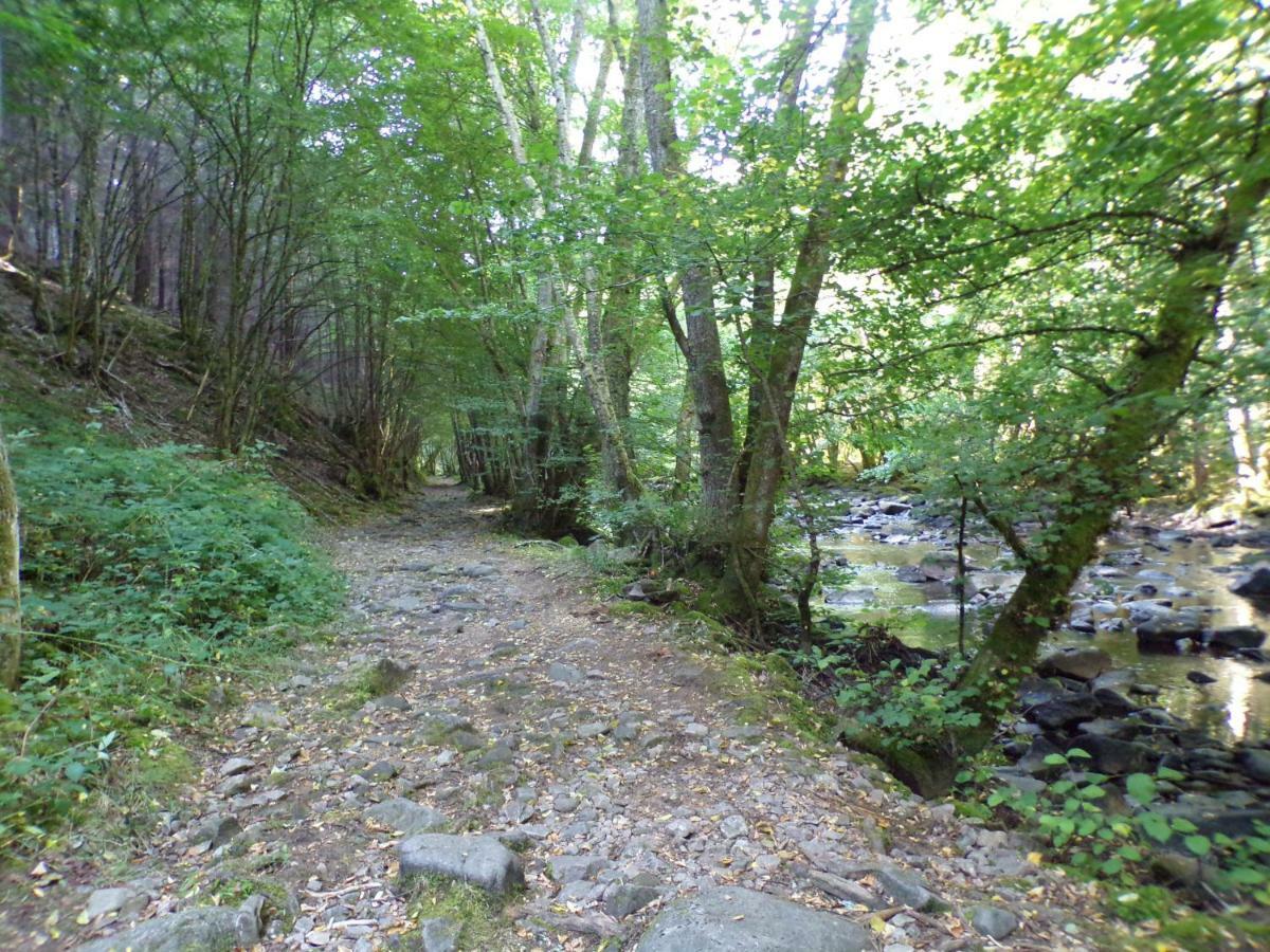 Gite "La Meluzine" Au Bord De La Riviere, Avallon, Vezelay, Morvan Magny  Exteriör bild