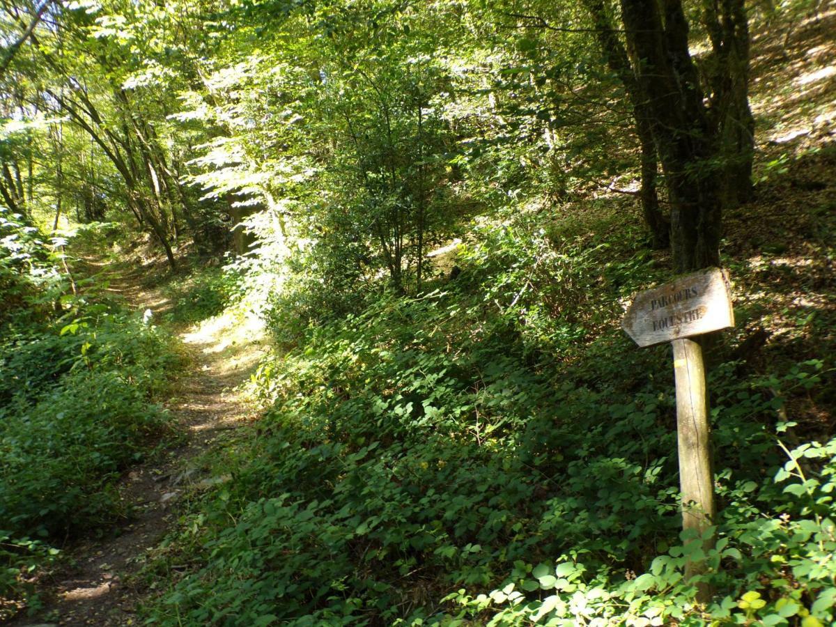 Gite "La Meluzine" Au Bord De La Riviere, Avallon, Vezelay, Morvan Magny  Exteriör bild