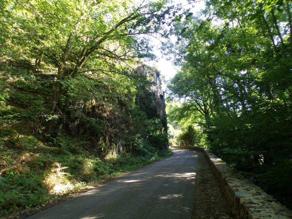 Gite "La Meluzine" Au Bord De La Riviere, Avallon, Vezelay, Morvan Magny  Exteriör bild