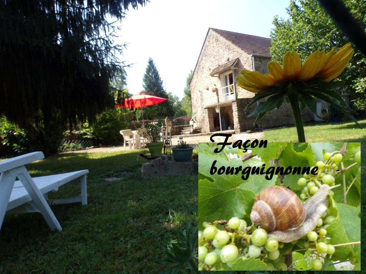 Gite "La Meluzine" Au Bord De La Riviere, Avallon, Vezelay, Morvan Magny  Exteriör bild